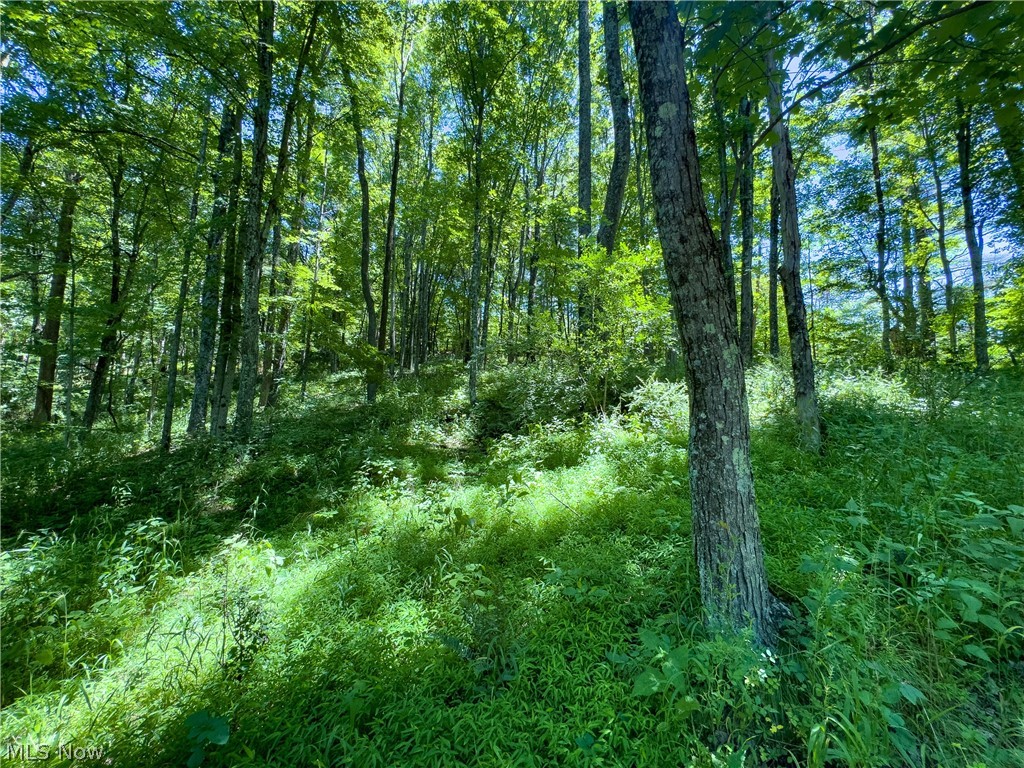 0 Long Hollow Road Pomeroy, OH 45769 - Photo 12 of 31