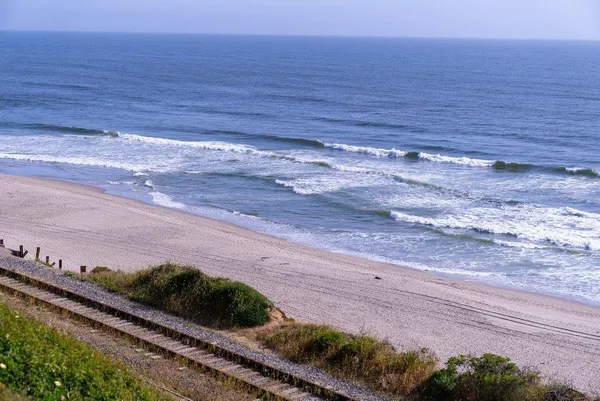 a view of a yard with an ocean view