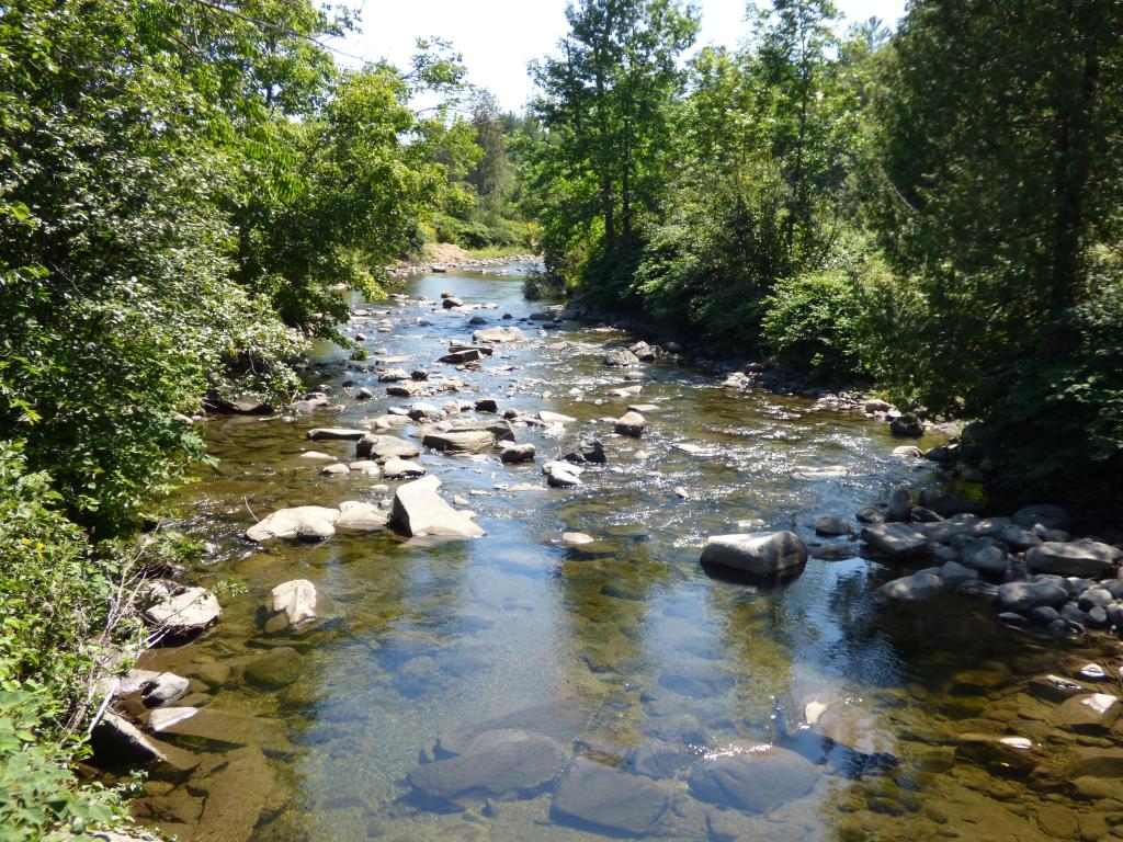 4048 Fall Brook Road Wheelock, VT 05851 - Photo 3 of 19 Gallery Image 3