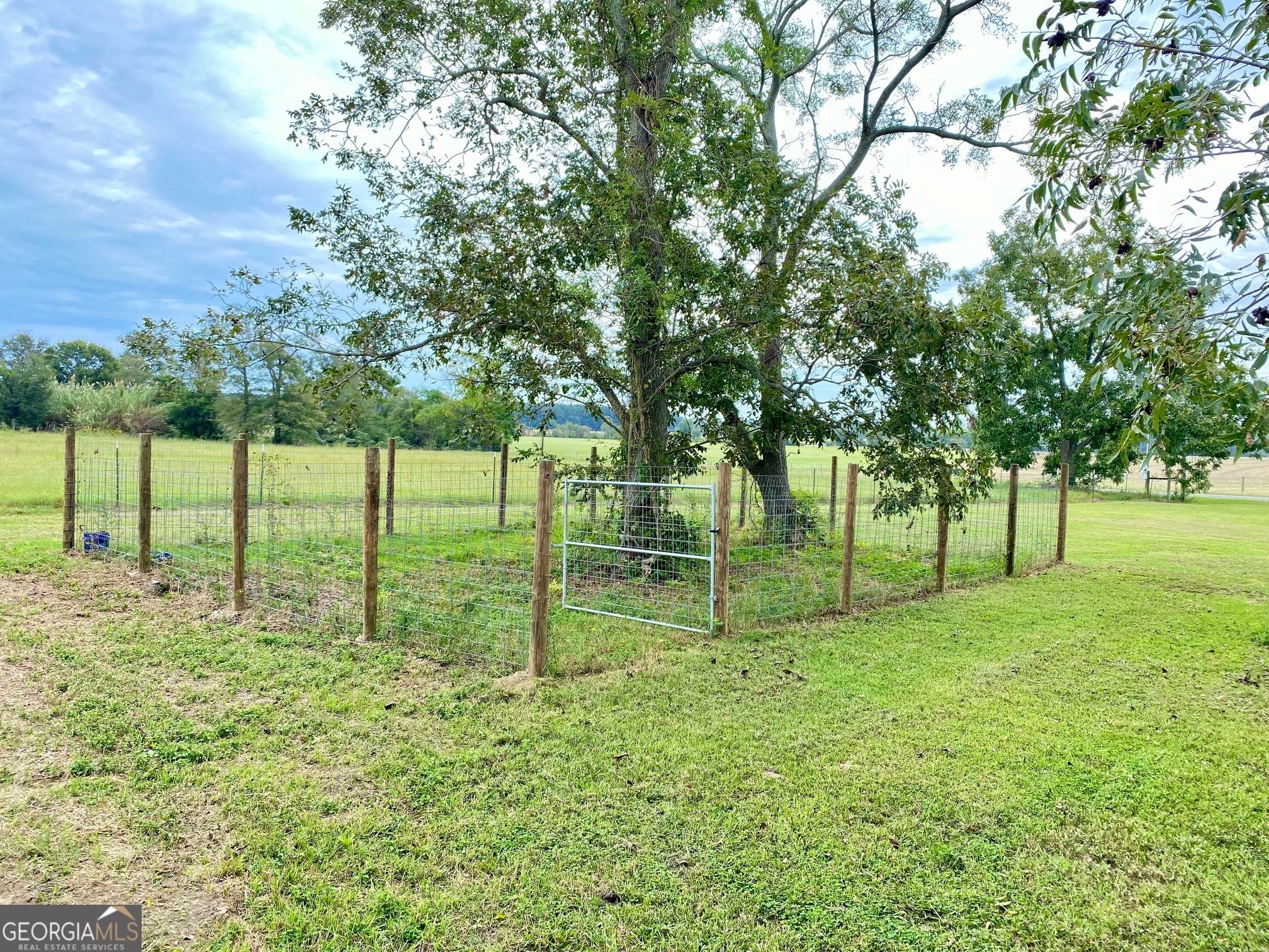 1088 Tippettville Road Pineview, GA 31071 - Photo 32 of 33 a view of tall trees with a big yard
