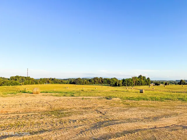 a view of an ocean and beach