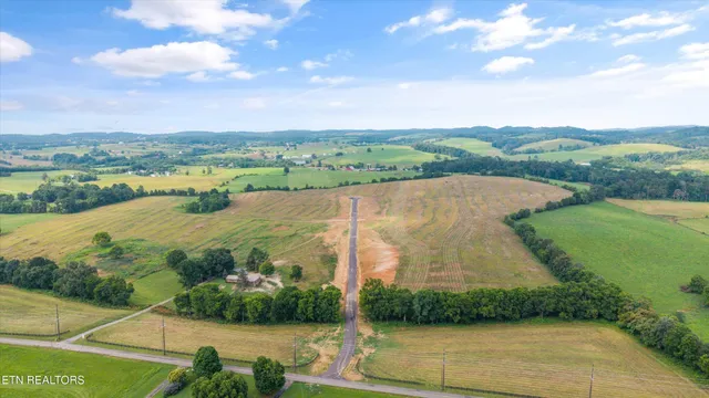 a view of a lake and mountain in the back