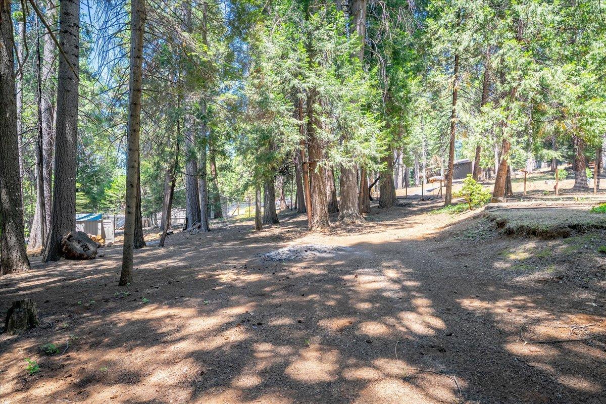 2226 Blair Road Pollock Pines, CA 95726 - Photo 44 of 58