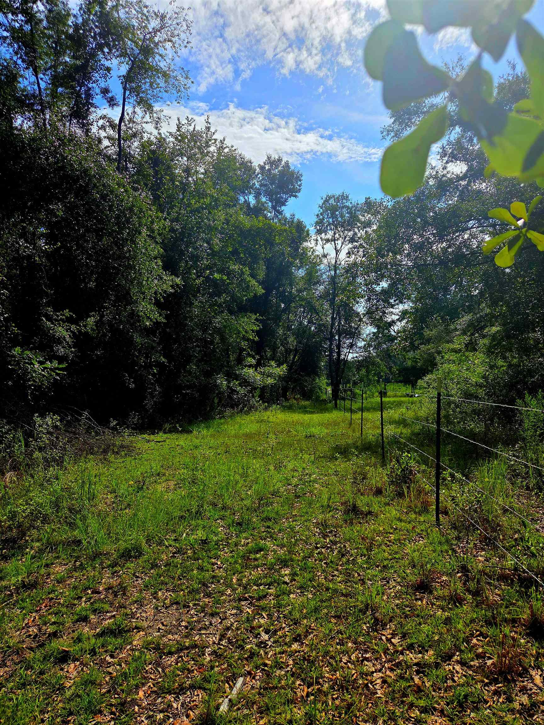 1-acre Northeast Hickory Grove Road Pinetta, FL 32350 - Photo 38 of 44 Gallery Image 38