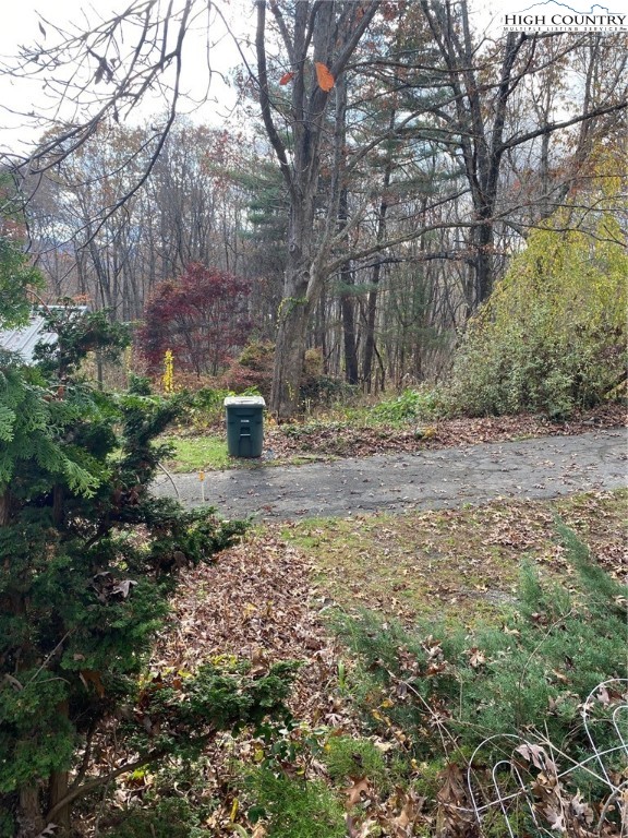 167 Grandridge Road Sparta, NC 28675 - Photo 29 of 29 a backyard of a house with lots of green space