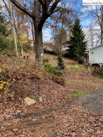 a view of backyard with large trees