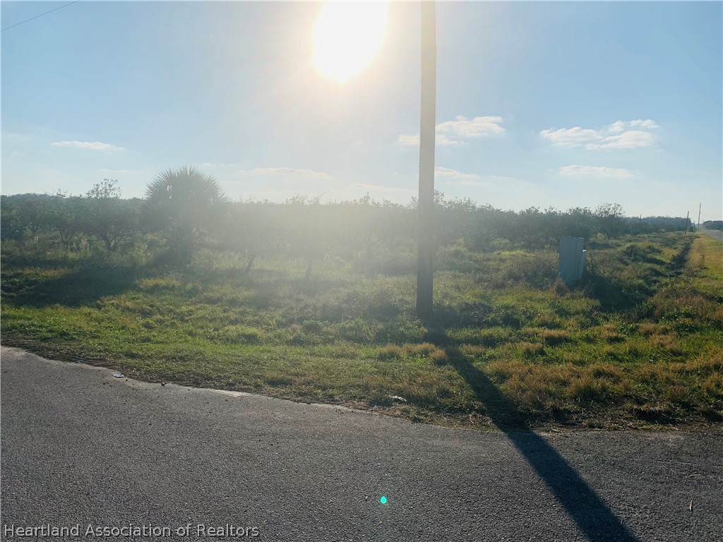 Everett Whidden Road Ona, FL 33865 - Photo 3 of 3 Gallery Image 3
