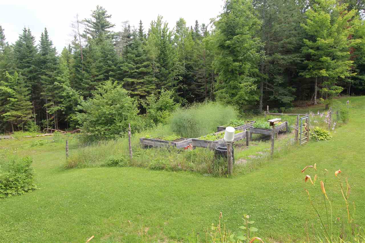 320 Keiser Pond Road Peacham, VT 05821 - Photo 25 of 30