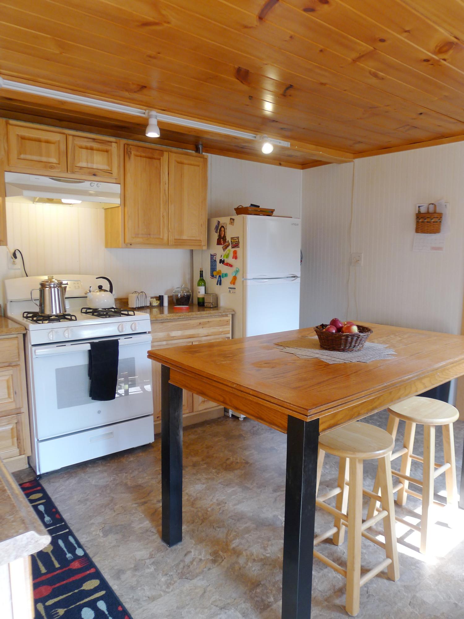 Lot 11 Basin Road Carthage, ME 04224 - Photo 6 of 43 Gas stove & refrigerator