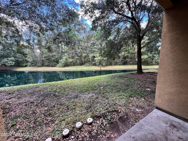 a view of a yard with a large tree