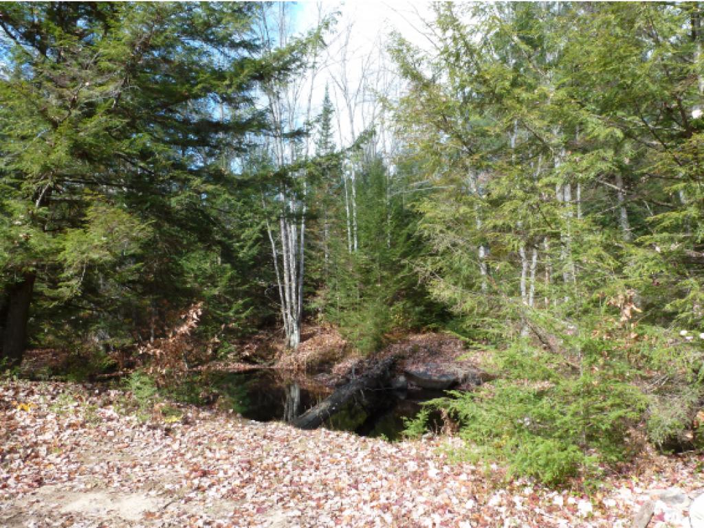 30 Mt Shaw Road Ossipee, NH 03864 - Photo 2 of 12 Gallery Image 2