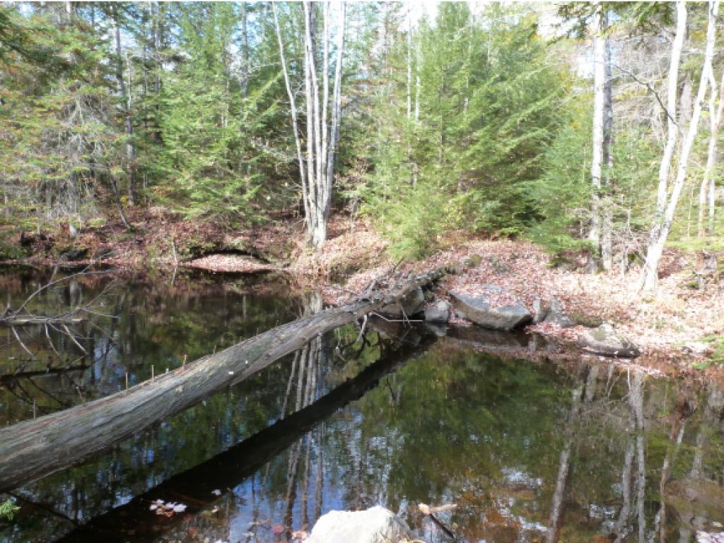 30 Mt Shaw Road Ossipee, NH 03864 - Photo 3 of 12 Gallery Image 3