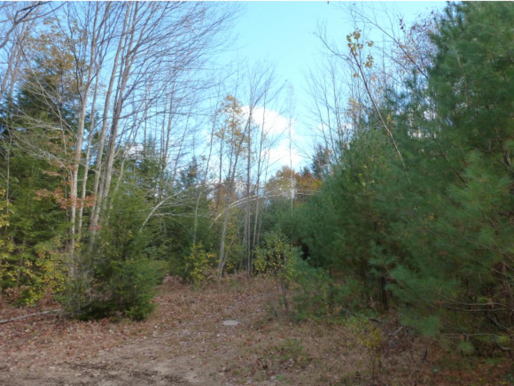 30 Mt Shaw Road Ossipee, NH 03864 - Photo 4 of 12 Gallery Image 4