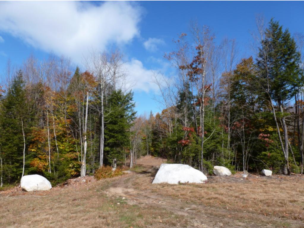 30 Mt Shaw Road Ossipee, NH 03864 - Photo 5 of 12 Gallery Image 5