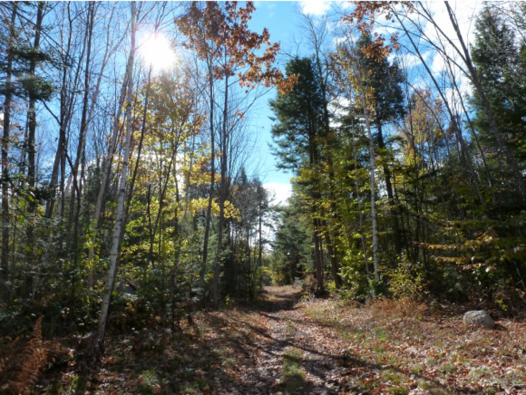 30 Mt Shaw Road Ossipee, NH 03864 - Photo 7 of 12 Gallery Image 7