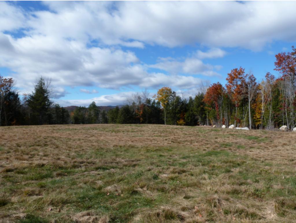 30 Mt Shaw Road Ossipee, NH 03864 - Photo 9 of 12 Gallery Image 9