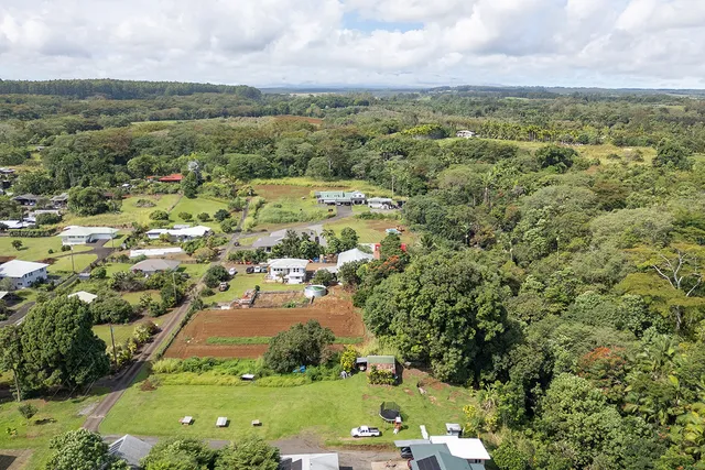 a view of a city with green space