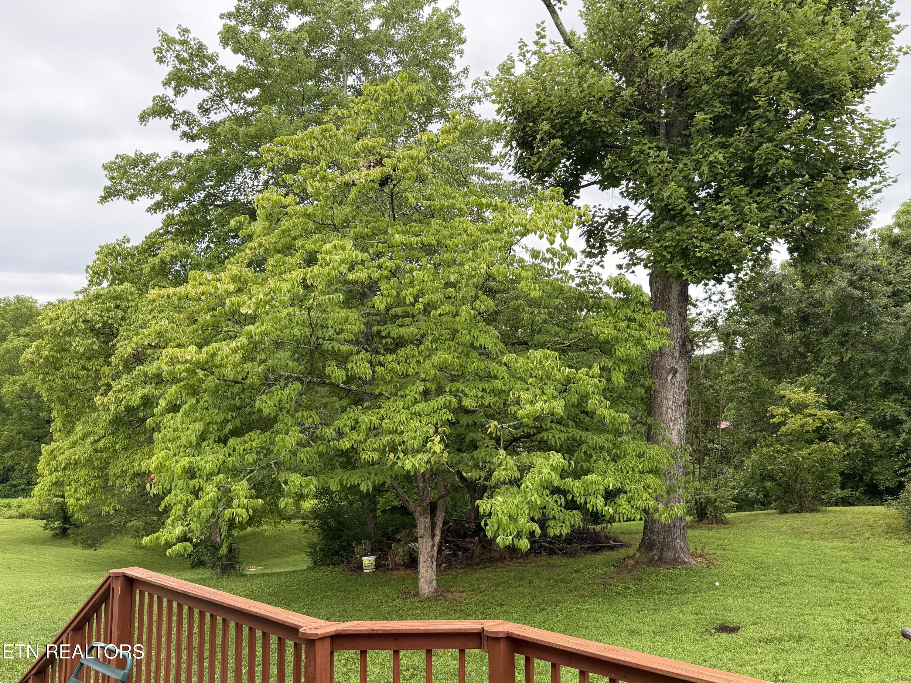 371 Pinecrest Road Jacksboro, TN 37757 - Photo 29 of 48 IMG_3293