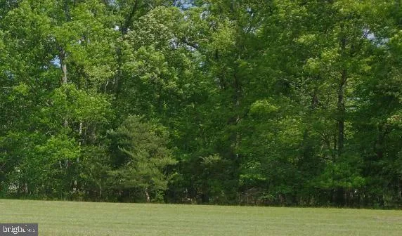 a view of a field with a trees in the background