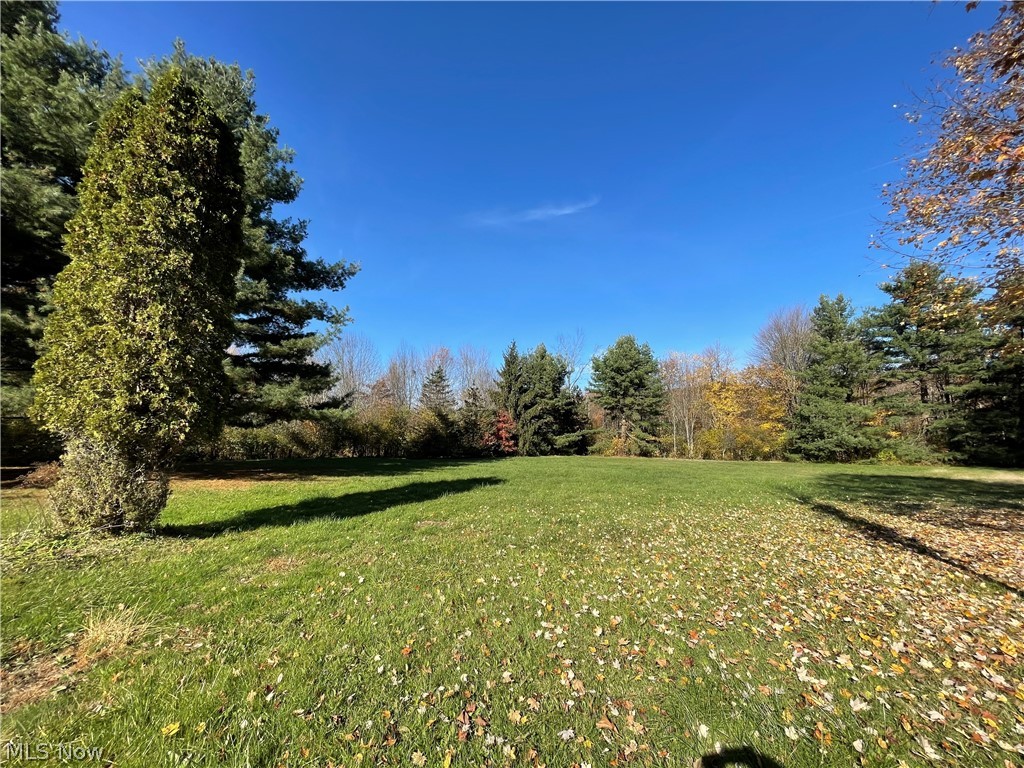 8991 Smith Road Litchfield, OH 44253 - Photo 14 of 35 Gallery Image 14