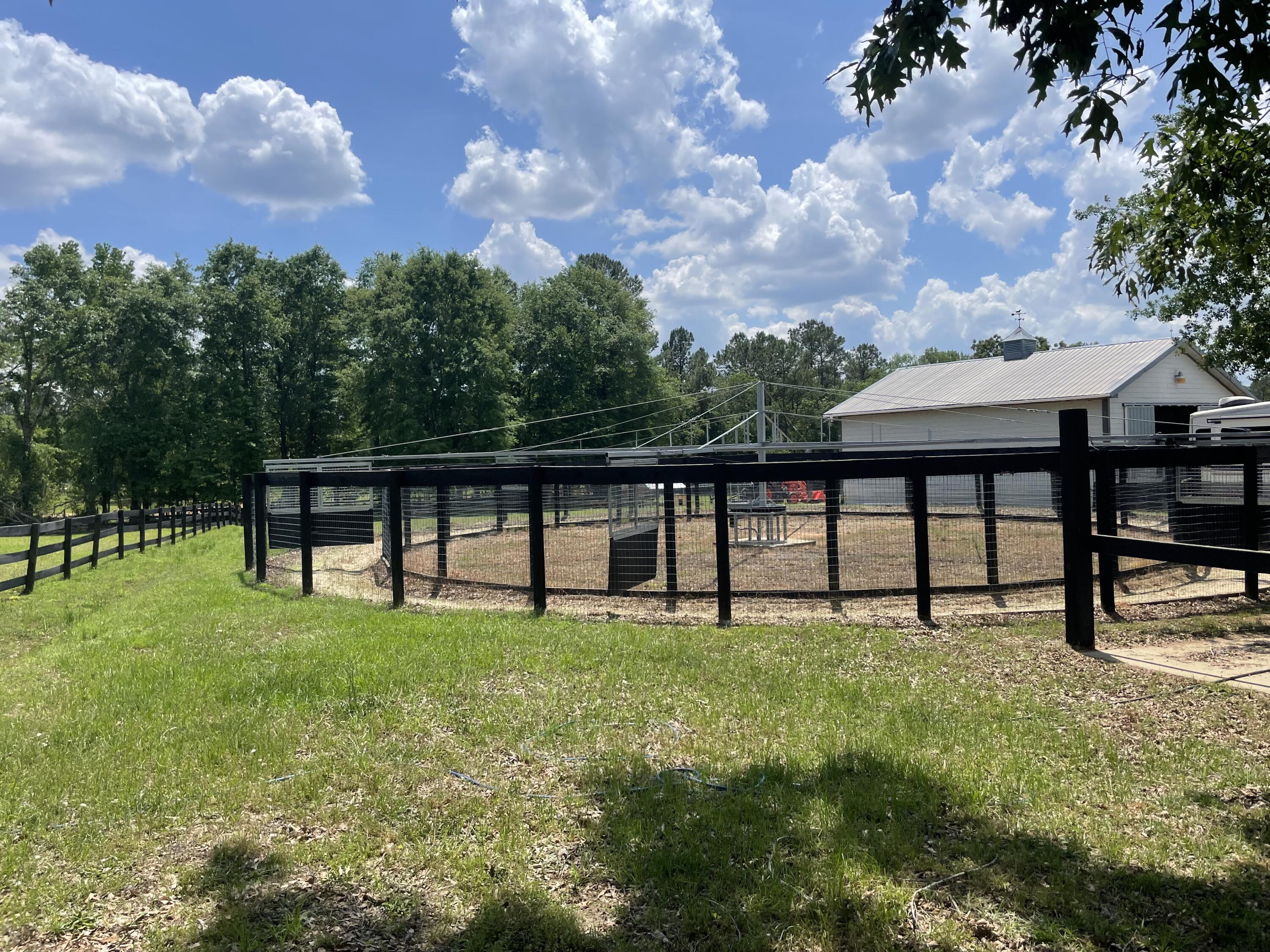 325 Flowing Well Road Wagener, SC 29164 - Photo 46 of 68