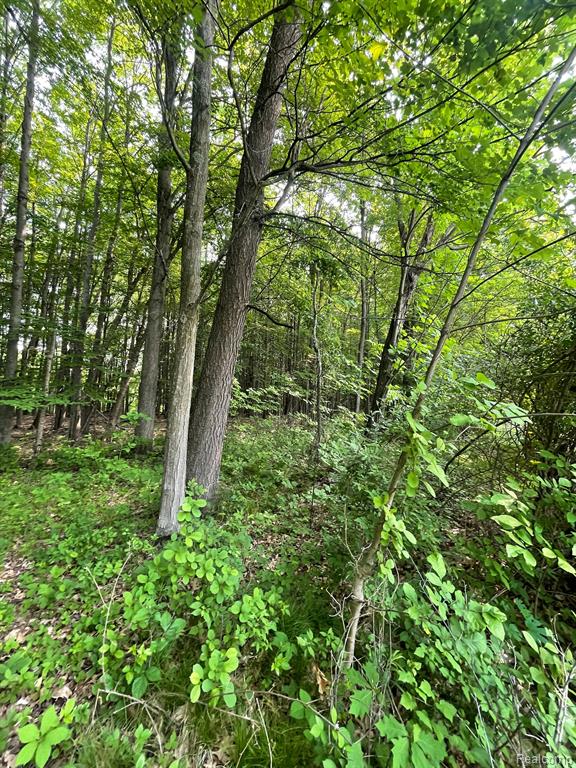 0 Mill Road Dryden, MI 48428 - Photo 12 of 18
