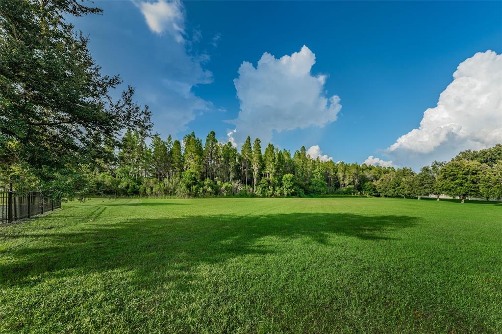 1345 Halapa Way Trinity, FL 34655 - Photo 90 of 93