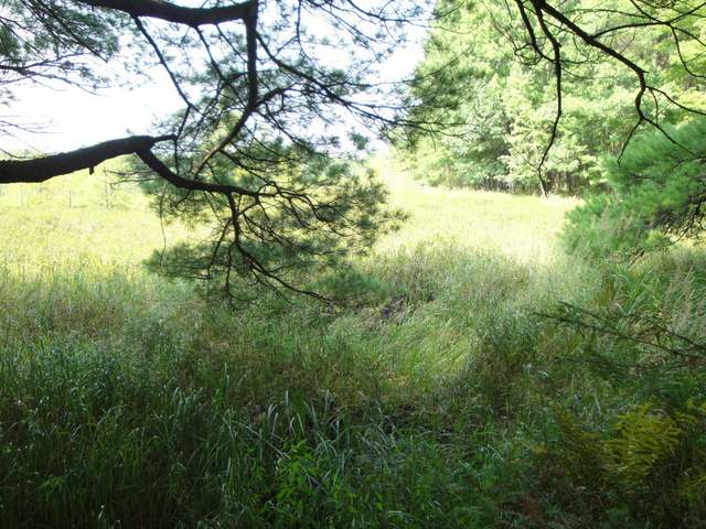 Lot 59 Emden Lake Road Rhinelander, WI 54501 - Photo 5 of 5 Gallery Image 5