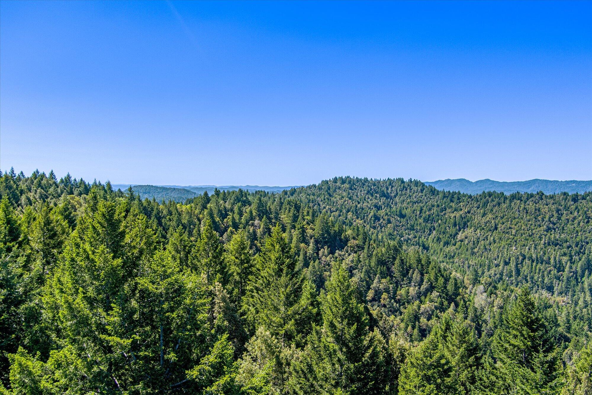 7222 Doody Ridge Road Garberville, CA 95542 - Photo 68 of 73 73-7222 Doody Ridge-170