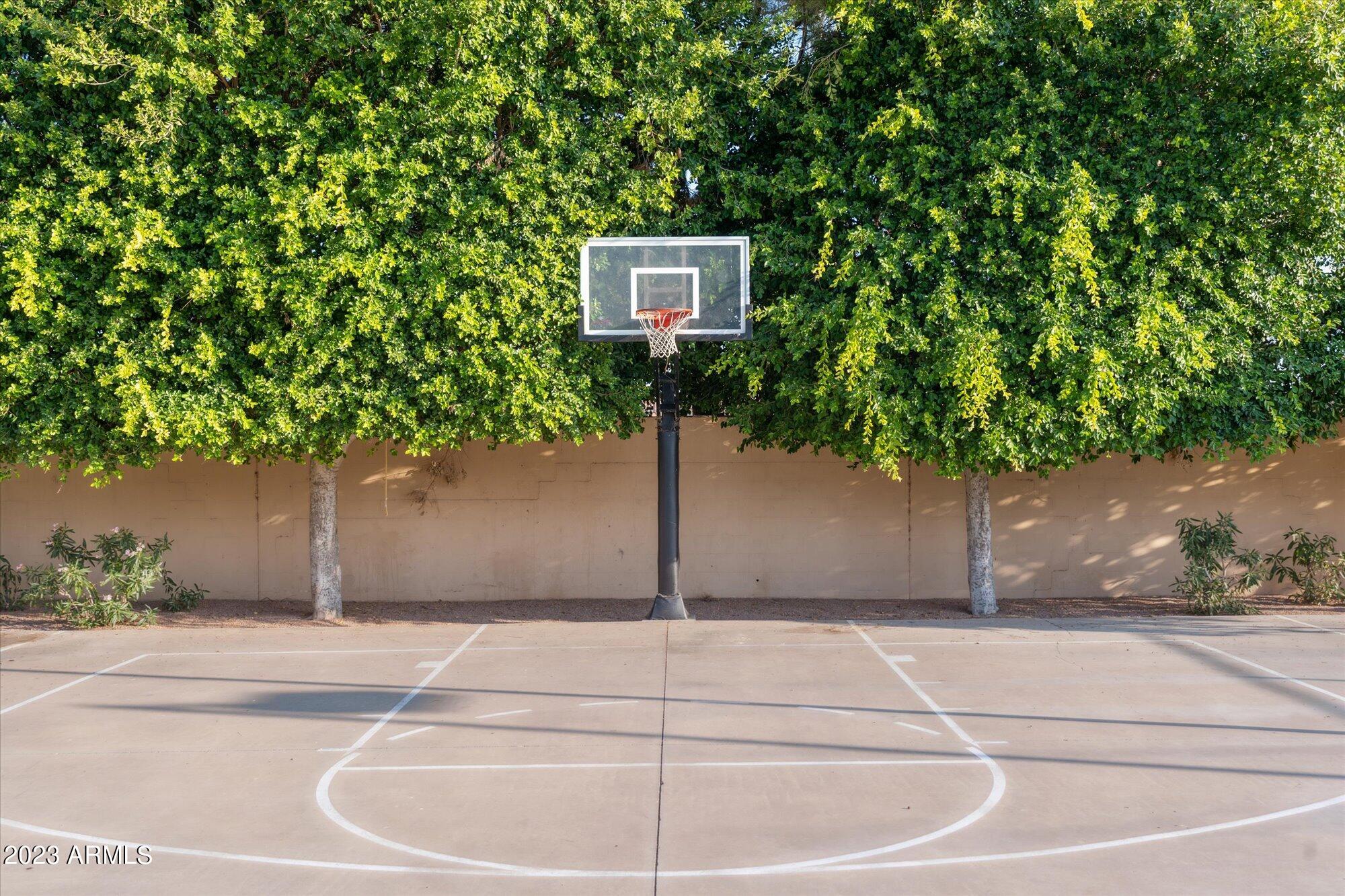 647 North Mayfair Mesa, AZ 85213 - Photo 54 of 58 48-DSC07557