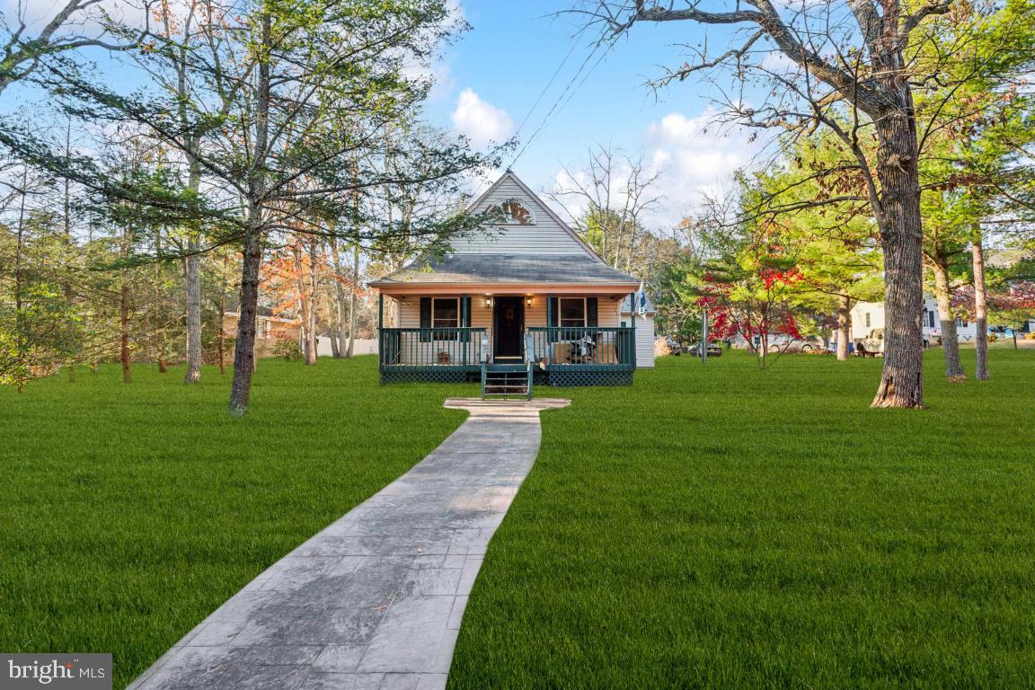 Front View (This picture just enhanced with grass)