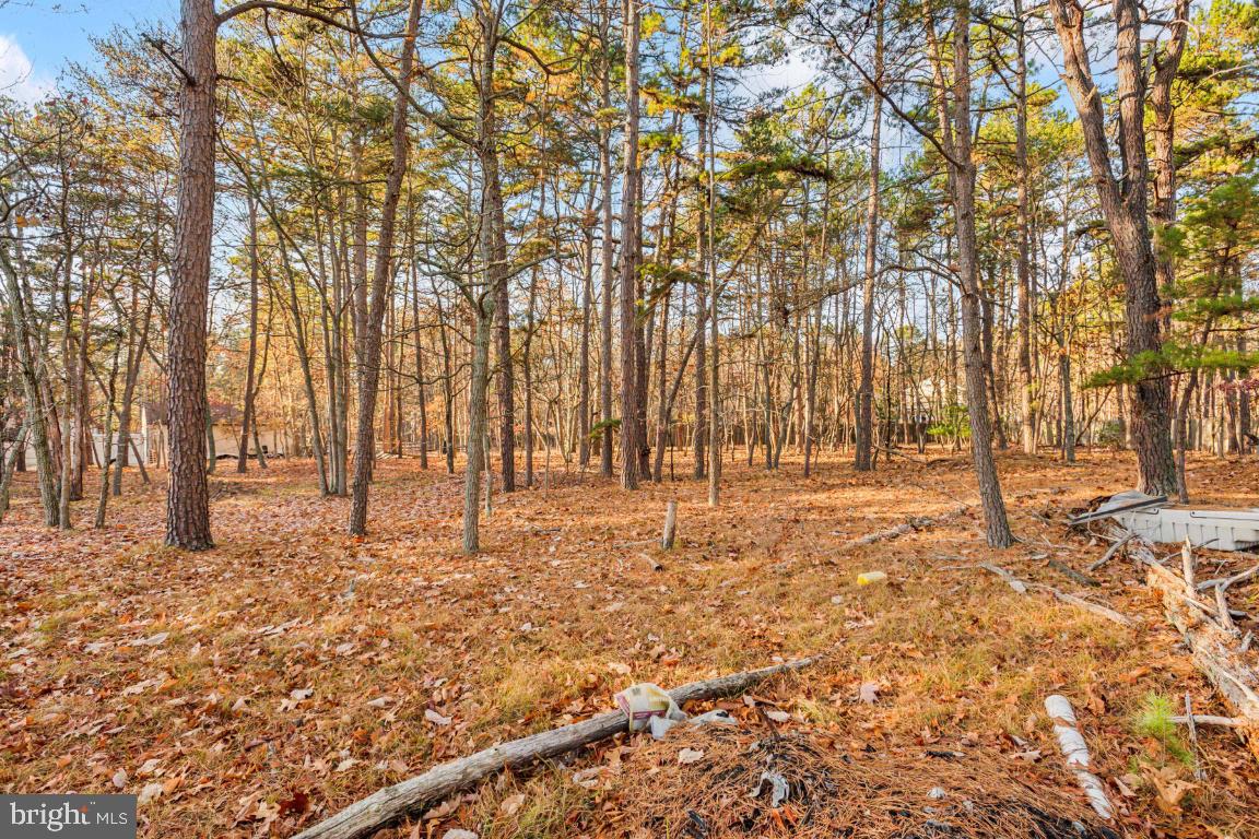 47 Lakeview Drive Tabernacle, NJ 08088 - Photo 23 of 25 View of One Acre Lot