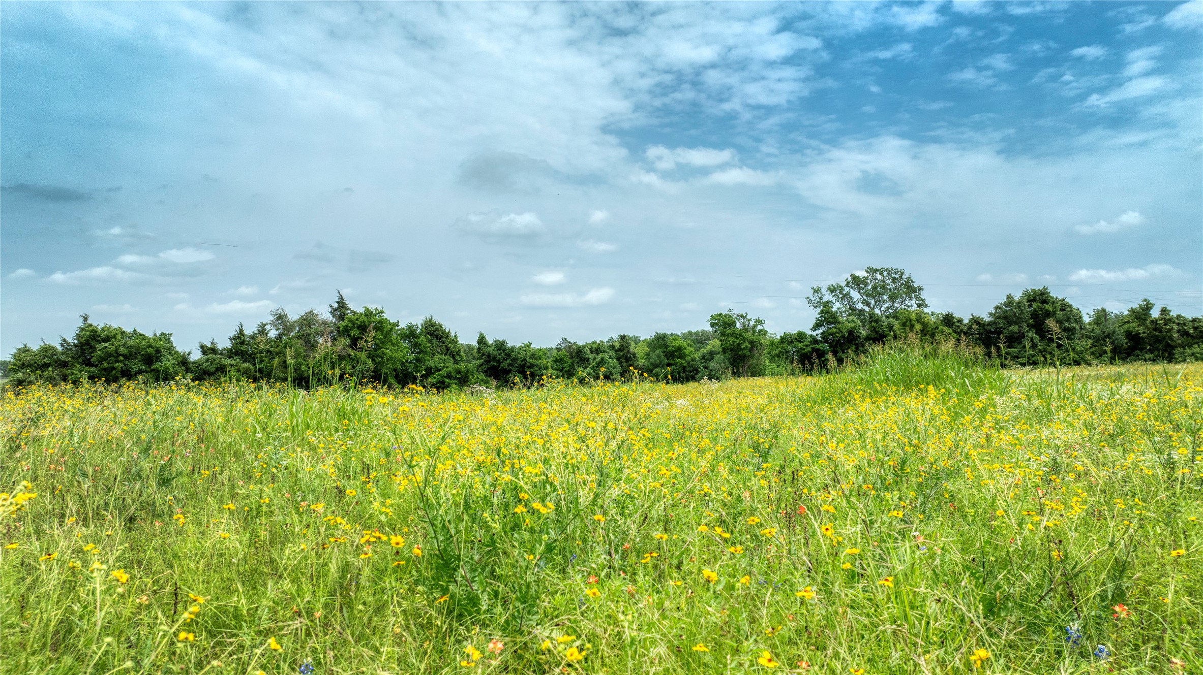5919 Farm To Market 50 Brenham, TX 77833 - Photo 6 of 29