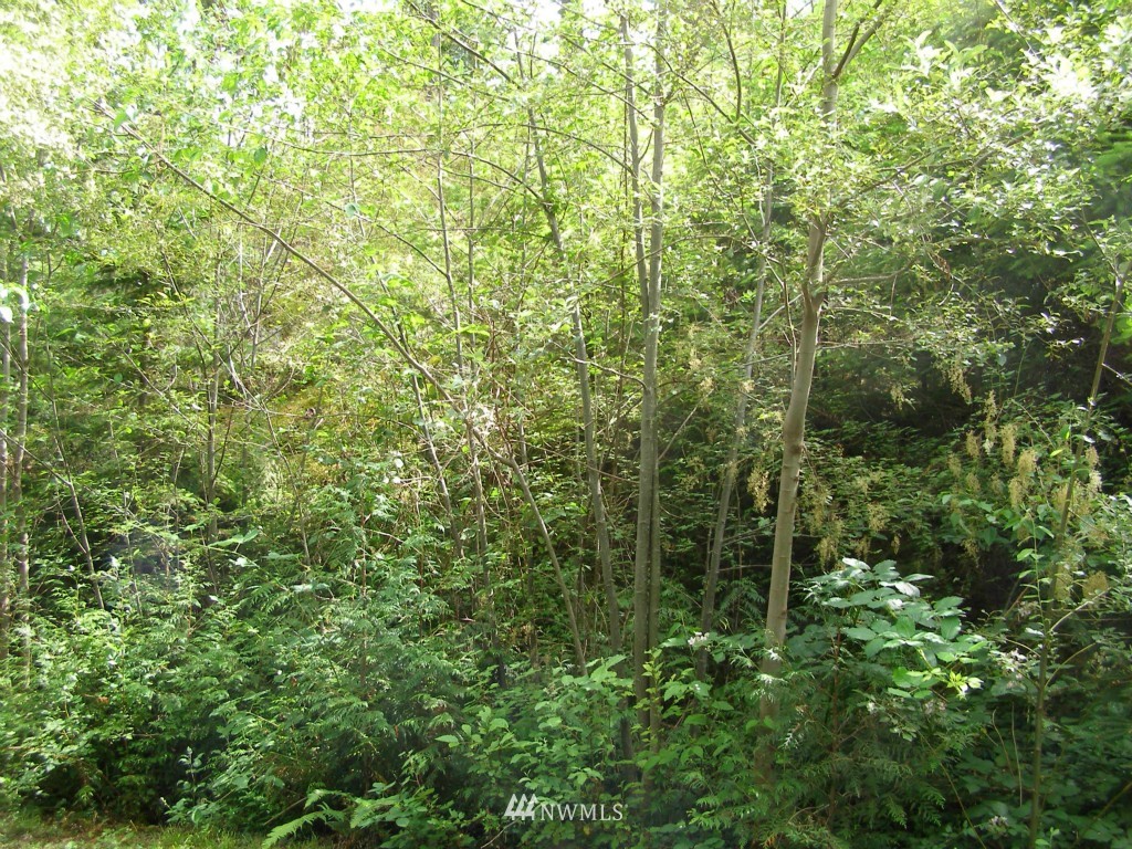 1 Cox Road Anacortes, WA 98221 - Photo 8 of 10 Gallery Image 8