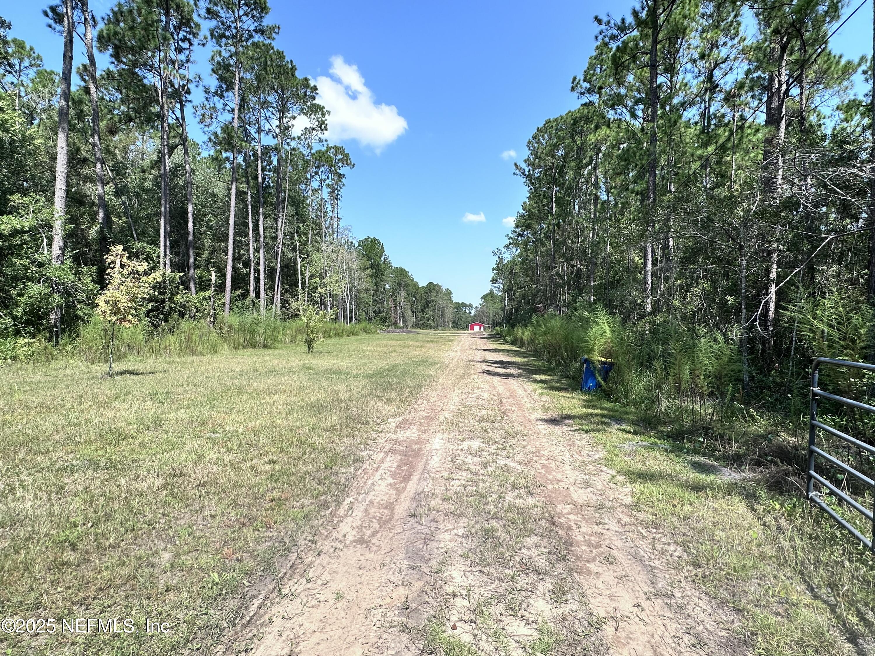 3269 Lannie Road Jacksonville, FL 32218 - Photo 1 of 7 a view of a grassy field with trees in the background
