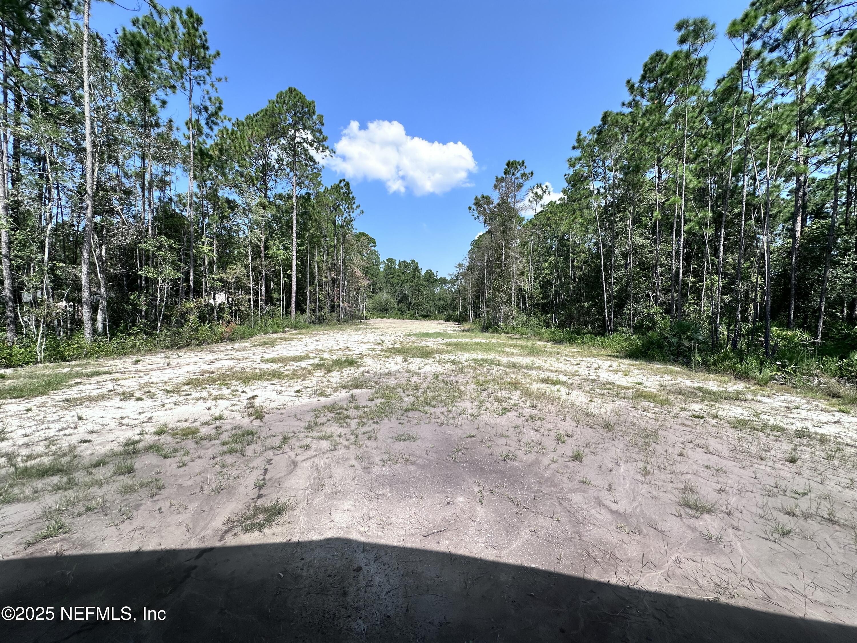 3269 Lannie Road Jacksonville, FL 32218 - Photo 6 of 7 a view of a yard with large trees