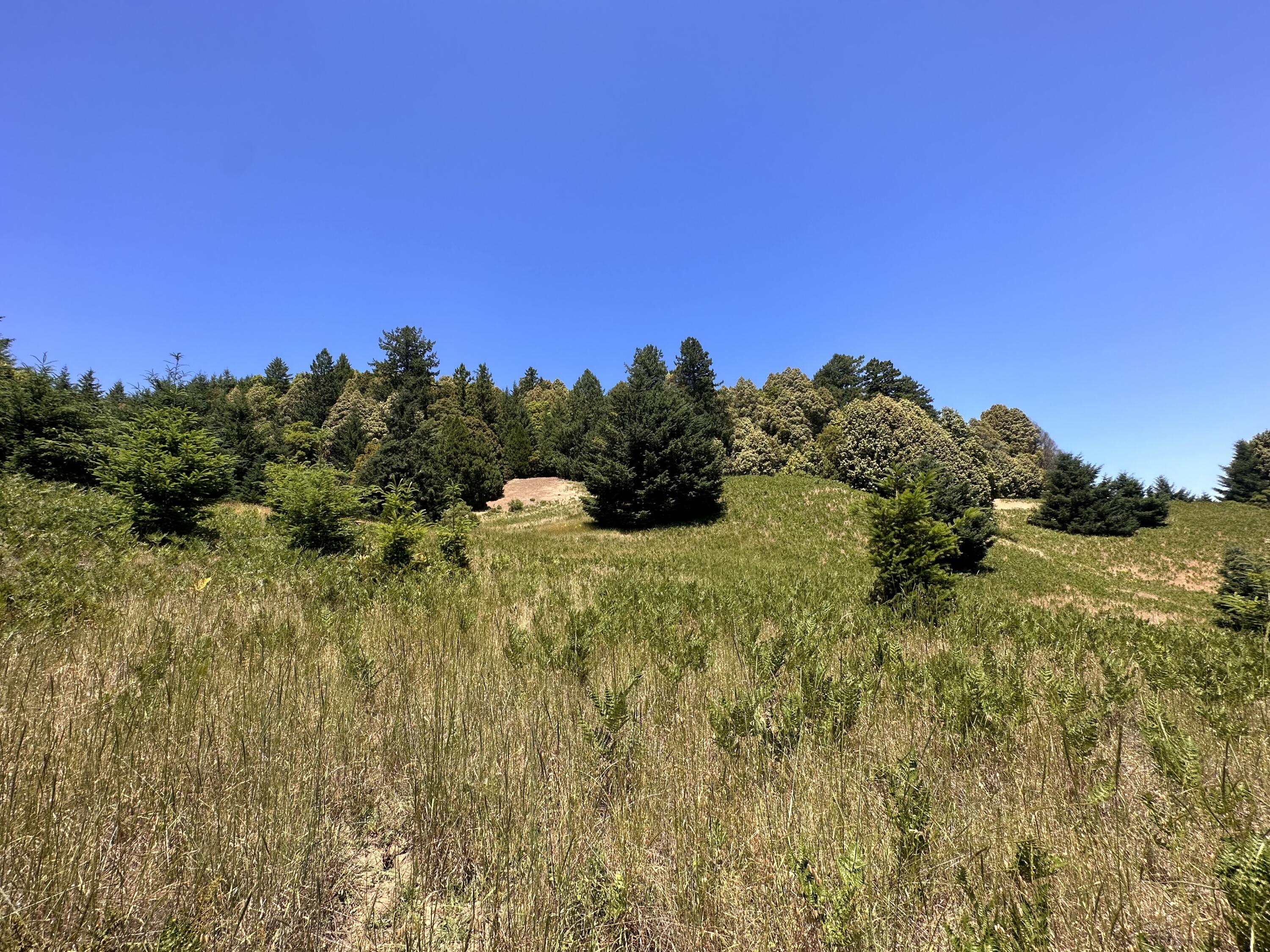 950 Powell Crk Road Garberville, CA 95542 - Photo 41 of 78