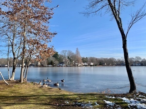 51 West Shore Road Holbrook, MA 02343 - Photo 27 of 31
