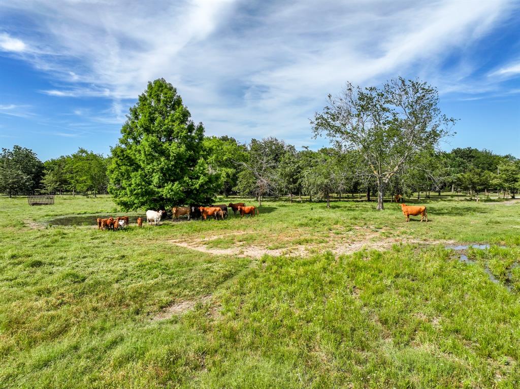 211 Rs County Road 1455 Point, TX 75472 - Photo 20 of 40 a view of a green field with wooden fence
