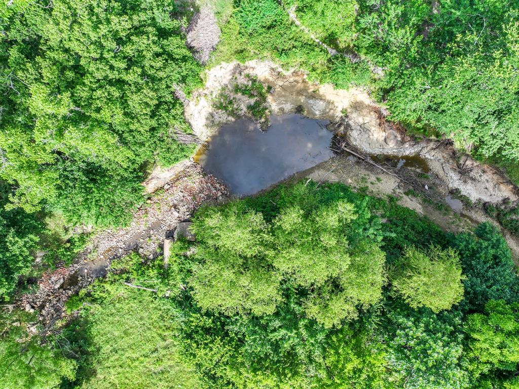 211 Rs County Road 1455 Point, TX 75472 - Photo 25 of 40 a view of a plants in backyard