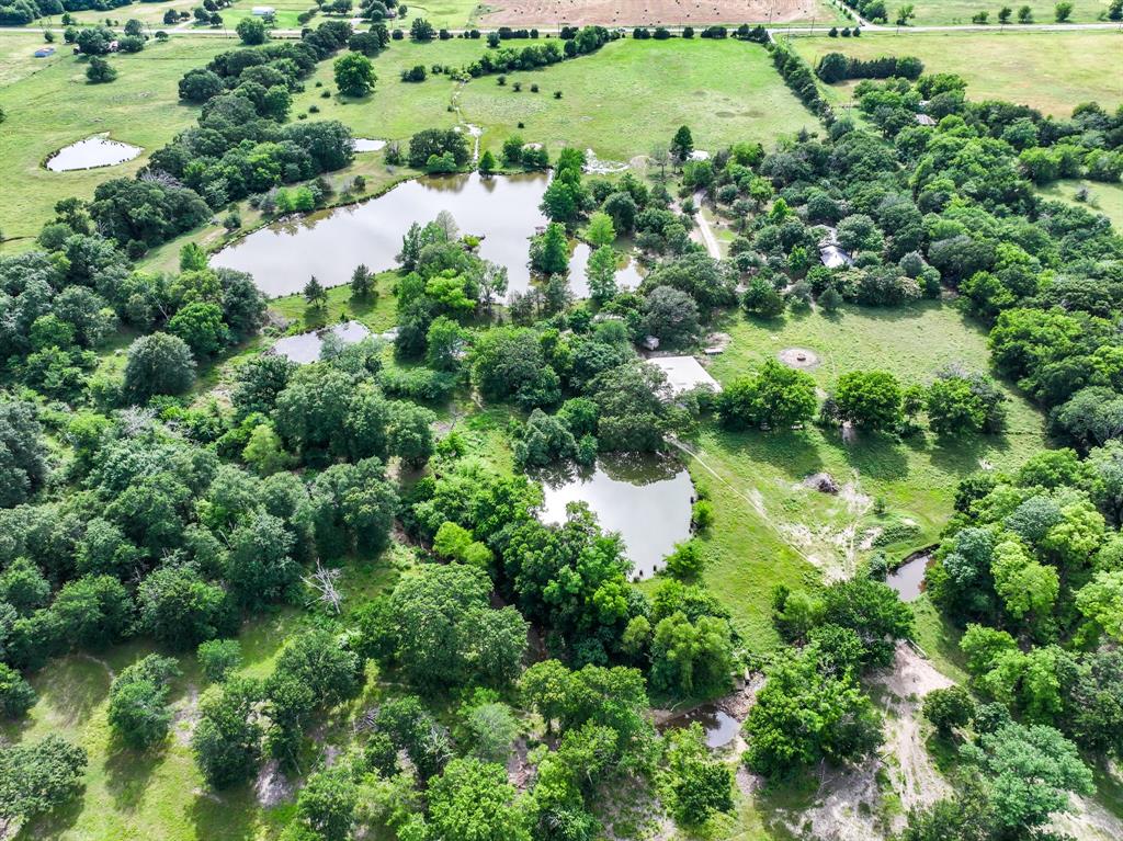 211 Rs County Road 1455 Point, TX 75472 - Photo 8 of 40 a view of a garden with a lake