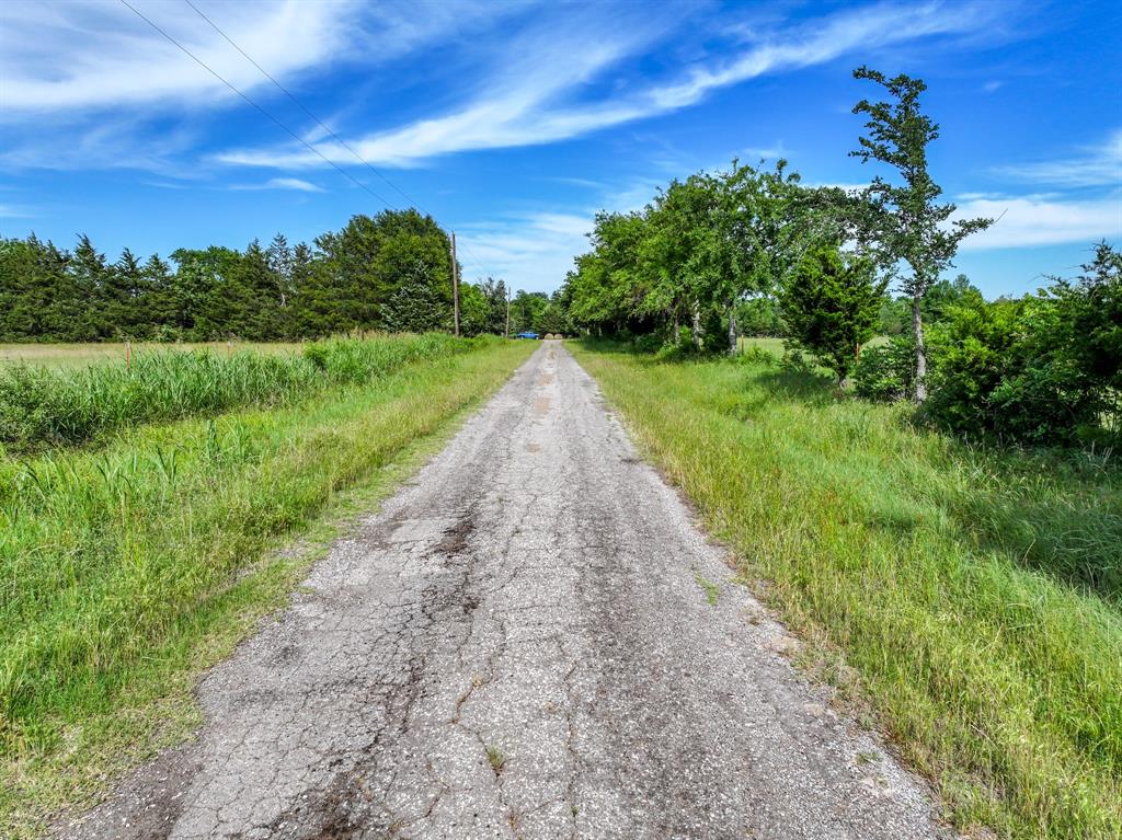 211 Rs County Road 1455 Point, TX 75472 - Photo 9 of 40 a view of a garden with an outdoor space