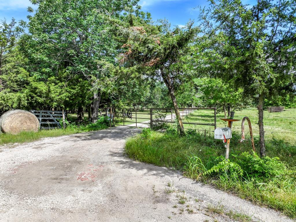 211 Rs County Road 1455 Point, TX 75472 - Photo 10 of 40 a view of a park with large trees