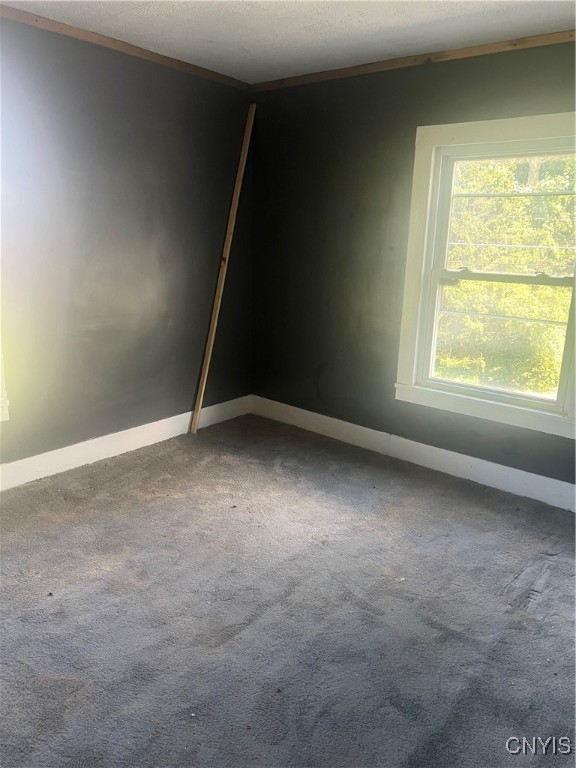 5601 Middle Road Stockbridge, NY 13409 - Photo 22 of 44