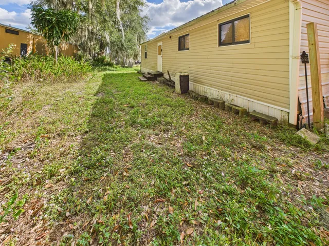 a view of a backyard with plants and large tree