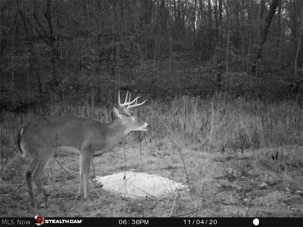0 Bell Run Road Brohard, WV 26138 - Photo 28 of 30