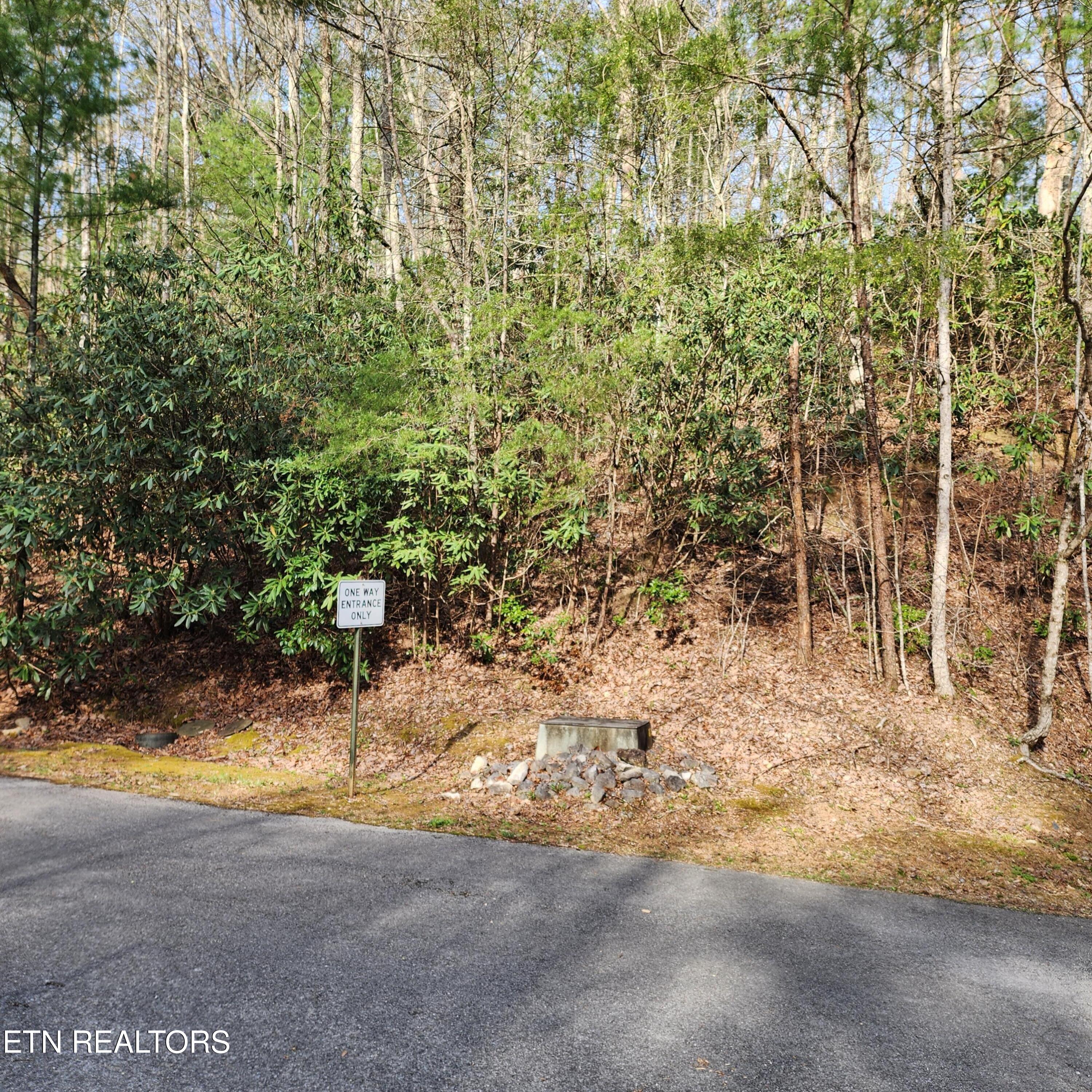 116 Greystone Way Townsend, TN 37882 - Photo 1 of 13 20250404_094545