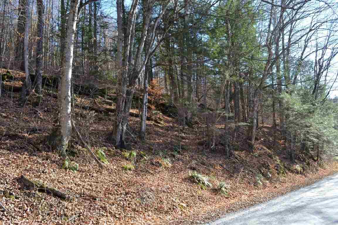 0 Foster Hill Road East Calais, VT 05650 - Photo 5 of 9