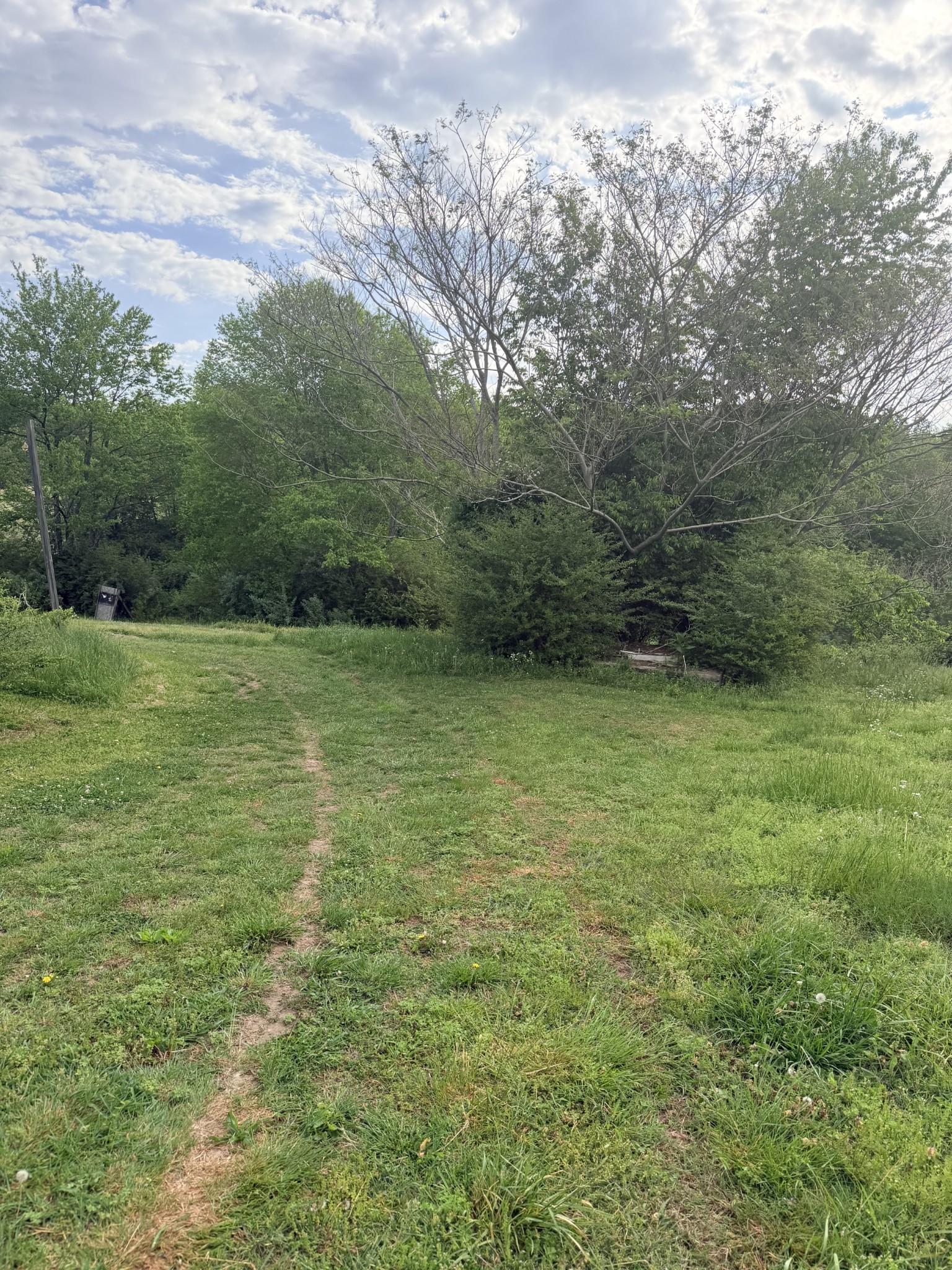 940 North Brace Road Summertown, TN 38483 - Photo 2 of 21 a view of a field with an outdoor space