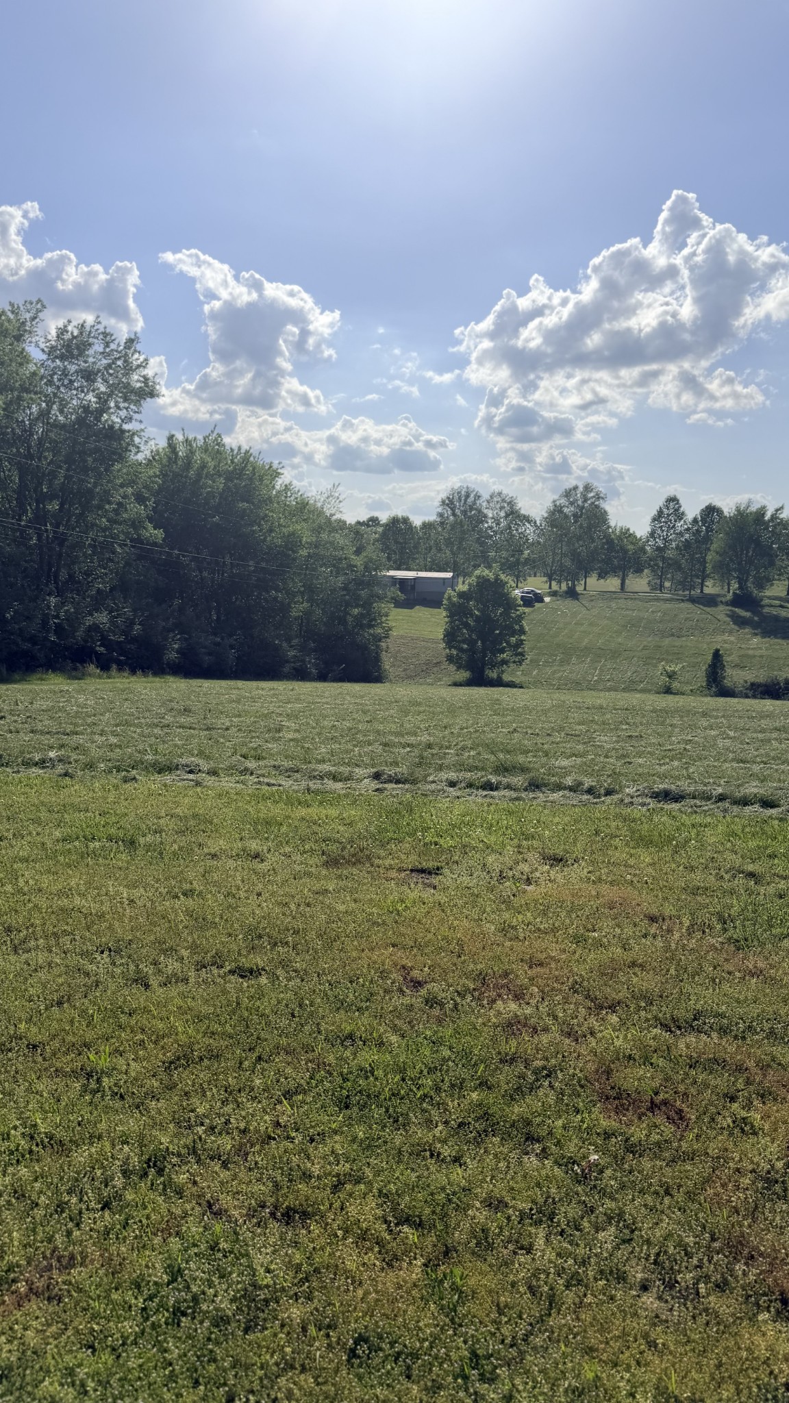 940 North Brace Road Summertown, TN 38483 - Photo 8 of 21 a view of a field with an ocean